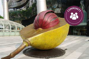 A Giant Nutmeg Statue in the Heart of Singapore